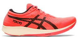 Марафонки ASICS Metaracer Tokyo 1011B075 700