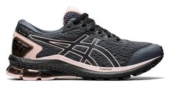 Кроссовки для бега Asics GT-1000 9 ( W) GTX 1012A765 020