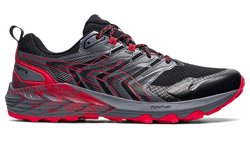 Кроссовки для бега Asics Gel Trabuco Terra 1011B029 008