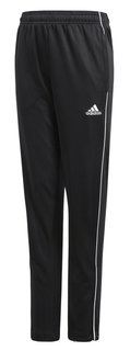 Детские спортивные брюки Adidas Core18 Training Junior Pants CE9034