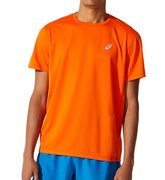 Мужская футболка для бега Asics Katakana SS Top 2011A813 800