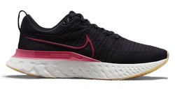 Кроссовки для бега Nike REACT INFINITY RUN FLYKNIT 2 (W) CT2423-501