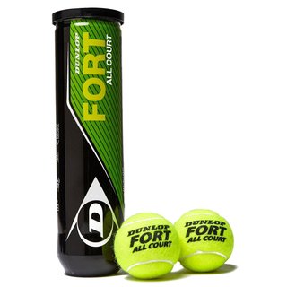 Теннисные мячи Dunlop Fort All Court TS 4Ball 601235