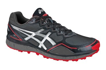 Кроссовки для бега Asics GEL FUJI SETSU GoreTex T3K0N 9793