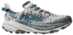 Кроссовки для бега Hoka Speedgoat 6 Gtx 1155151-CSMCG