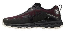 Кроссовки для бега Mizuno Wave Daichi 6 GoreTex (Women) J1GK2156-42