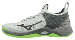 Волейбольные кроссовки Mizuno Wave Momentum V1GA1912-37