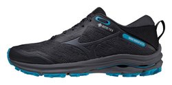 Кроссовки для бега Mizuno Wave Rider GoreTex (Women) J1GD2179-13