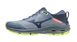 Кроссовки для бега Mizuno Wave Rider GoreTex (Women) J1GD2179-47