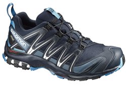 Кроссовки для бега SALOMON XA PRO 3D GTX L39332000