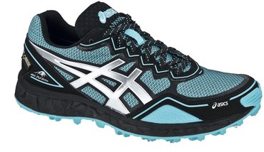 Asics GEL-FUJISETSU GTX (W) T3K5N 4093