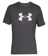 Мужская футболка Under Armour Big Logo SS 1329583-019