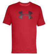 Мужская футболка Under Armour Big Logo SS 1329583-600