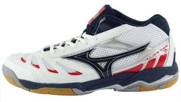Волейбольные кроссовки Mizuno Wave Rally 5 Mid V1GA1445-15