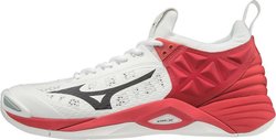 Волейбольные кроссовки MIZUNO WAVE MOMENTUM V1GA1912-08