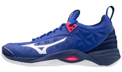 Волейбольные кроссовки Mizuno WAVE MOMENTUM V1GA1912-20