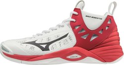 Волейбольные кроссовки MIZUNO WAVE MOMENTUM MID V1GA1917-08