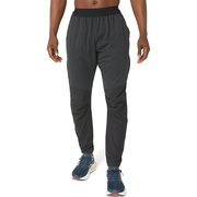 Мужские утепленные брюки для бега Asics Winter Run Pant 2011C870 001
