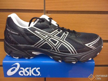 ASICS TRAIL-TAMBORA T0G2N 9091