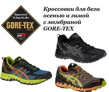 Кроссовки для бега и ходьбы с мембраной GORE-TEX (защита от дождя и снега)