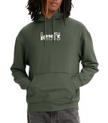 Мужская толстовка Levis T2 Relaxed Graphic Po 38479-0223