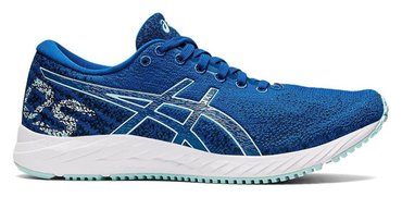 Полумарафонки ASICS GEL-DS TRAINER 26 (Women) 1012B090 403-S