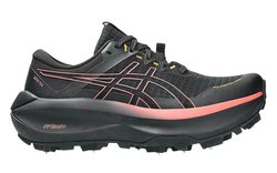Кроссовки для бега Asics Fujisetsu Max G-TX (Women) 1012B893 001