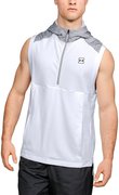 Жилет спортивный Under Armour Microthread Terry Half Zip Hooded SL 1306464-100