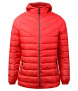 Куртка Asics DOWN HOODED JACKET (W) 2032A336 600