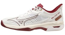 Кроссовки для тенниса Mizuno WAVE EXCEED TOUR 5 AC (W) 61GA2271-64