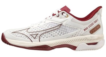 Кроссовки для тенниса Mizuno WAVE EXCEED TOUR 5 AC (W) 61GA2271-64
