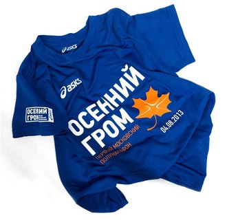 Asics  "ОСЕННИЙ  ГРОМ" 113971 0805 