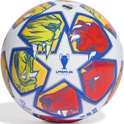 Мяч футбольный ADIDAS UCL Pro IN9340