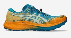 Мужские кроссовки для бега ASICS Fuji Lite 5 1011B889 400