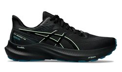 Кроссовки для бега ASICS GT-2000 12 G-TX 1011B687 001