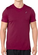 Мужская футболка для бега ASICS SEAMLESS SS TEE 2011A287 600