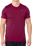 Мужская футболка для бега ASICS SEAMLESS SS TEE 2011A287 600