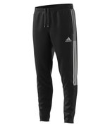 Спортивные брюки Adidas Tiro 21 Pants GM7356