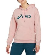 Женская толстовка Asics Big Oth Hoody (Women) 2032A990 702