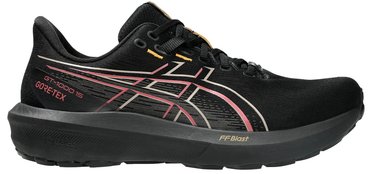 Кроссовки для бега Asics GT-1000 15 GTX 1011C233-001