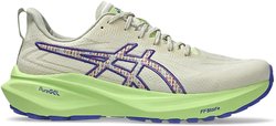 Кроссовки для бега Asics GT 2000 13 TR 1011C042-300