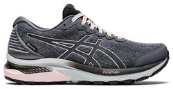 Кроссовки для бега Asics Gel Cumulus 22 GoreTex (Women) 1012A769 020