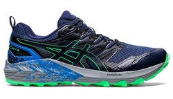 Кроссовки для бега Asics Gel Trabuco Terra 1011B029 409