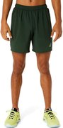 Шорты для бега Asics Icon Short 2011C730 300