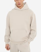 Толстовка Champion Hooded Sweatshirt 220423-ES057