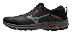 Кроссовки для бега Mizuno Wave Rider GoreTex J1GC2179-02