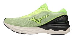 Кроссовки для бега Mizuno Wave Skyrise 3 J1GC2209-15-S