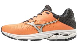 Кроссовки для бега MIZUNO WAVE RIDER 23 (W) J1GD1903-46