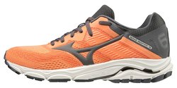 Кроссовки для бега Mizuno Wave Inspire 16 (Women) J1GD2044-36
