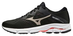Кроссовки для бега Mizuno Wave Equate 5 (Women) J1GD2148-42